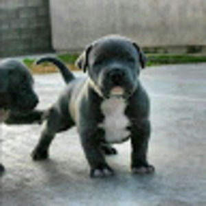 Meet your Posher, Wenda